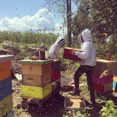 6 kg organic honey in bulk